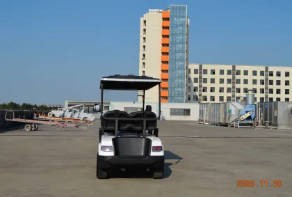 LVTONG 48V 2-Seater Electric Golf Cart