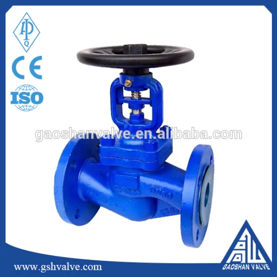 wcb bellows globe valve pn10~pn40