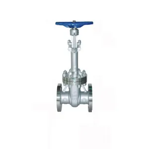 API600 WCB Flange Gate Valve