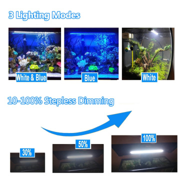 Luces de pescado LED de agua dulce con temporizador