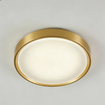 Warm LED ceiling light for home use