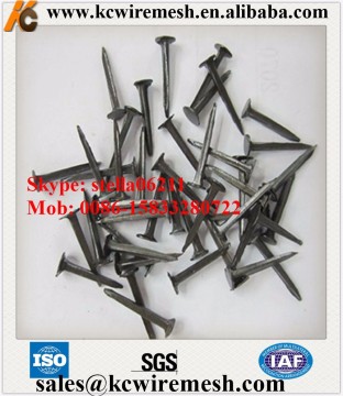 Cheap!!!!!!! KangChen high quality shoe tacks factory,blued,1/2" 3/4" 5/8"