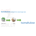 Low GI ingredients isomaltulose sports nutrition