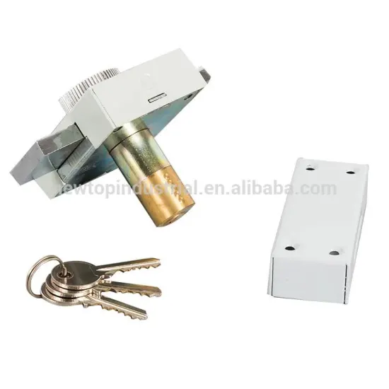 Professional Manufacturer Stainless Steel High Security Rim Door Lock for Gate Door