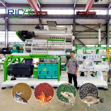 RICHI Professional 1-60 T/H Fish Feed Extruder Production Line