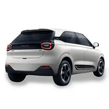 Dongfeng Nano 01 2024 EV 330km Range