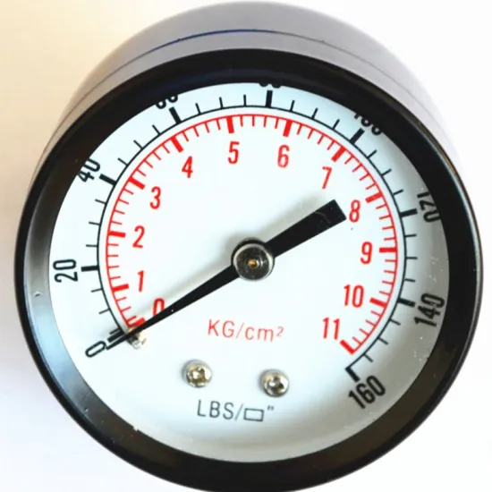 electrophoresis case pressure gauge
