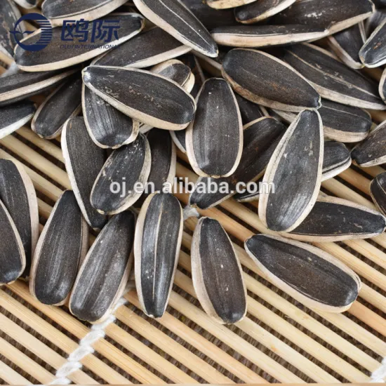 Chinese raw sunflower seeds type 601