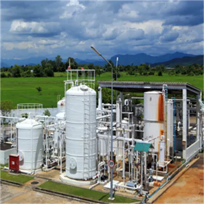 Best grade lions mane capsules mushroom lion mane