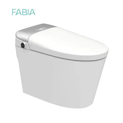 Remote Control Smart Flush Toilet with Baby Seat