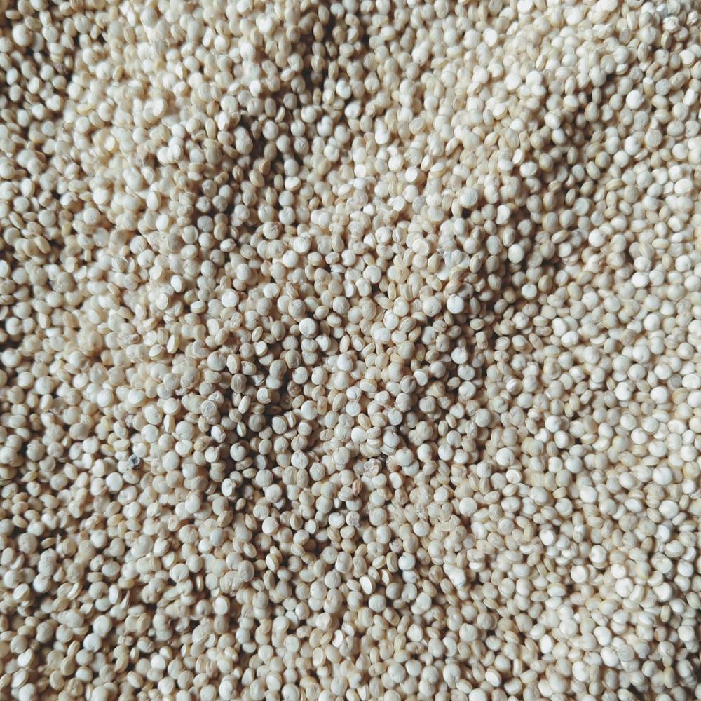 High Quality White Quinoa Grain