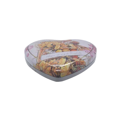 Heart Shaped Iron Box Special Shaped Tin Box
