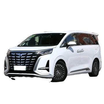 2023 La nuova auto Tengshi EV AWD ha una velocità massima di 180 km/h Denza Large MPV Hybrid N 7 Teng Shi