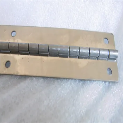Stainless Long Hinge Curtain Wall Hinge