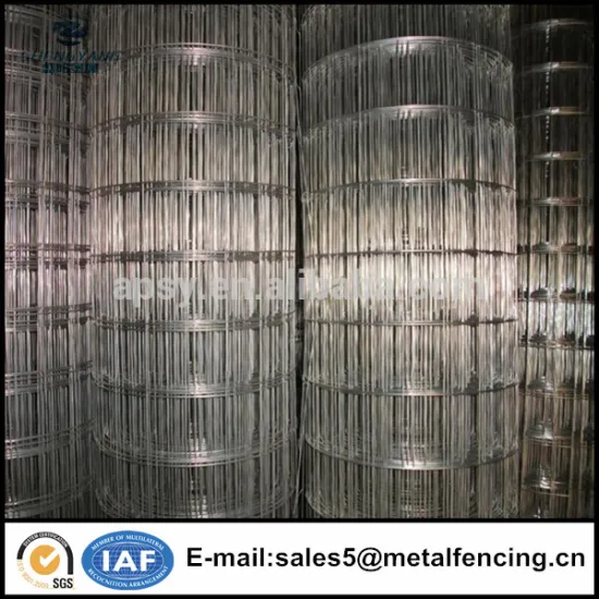 1/2" x 1/2" x 30m 22 gauge Aviary Cage mesh