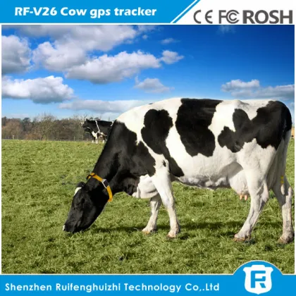 new products 2016 waterproof cow gps tracker animal solar power tracker system price
