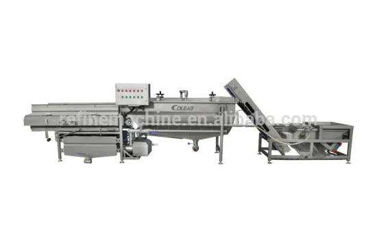 fruit washing line Fruit washer Fruit processing machine