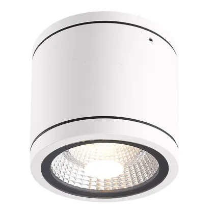 1x18W Cree LED Outdoor Ceiling Light