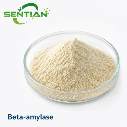 Beta-Amylase Enzyme for High-Maltose Syrup Production