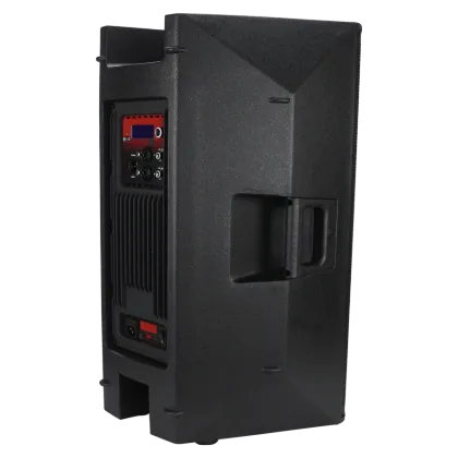 Company professional direct DSP active audio