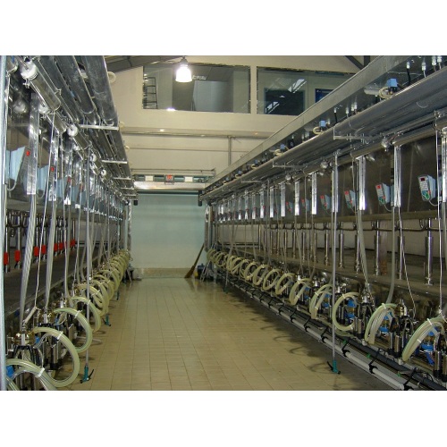 Automatic parallel quick-release milking parlor