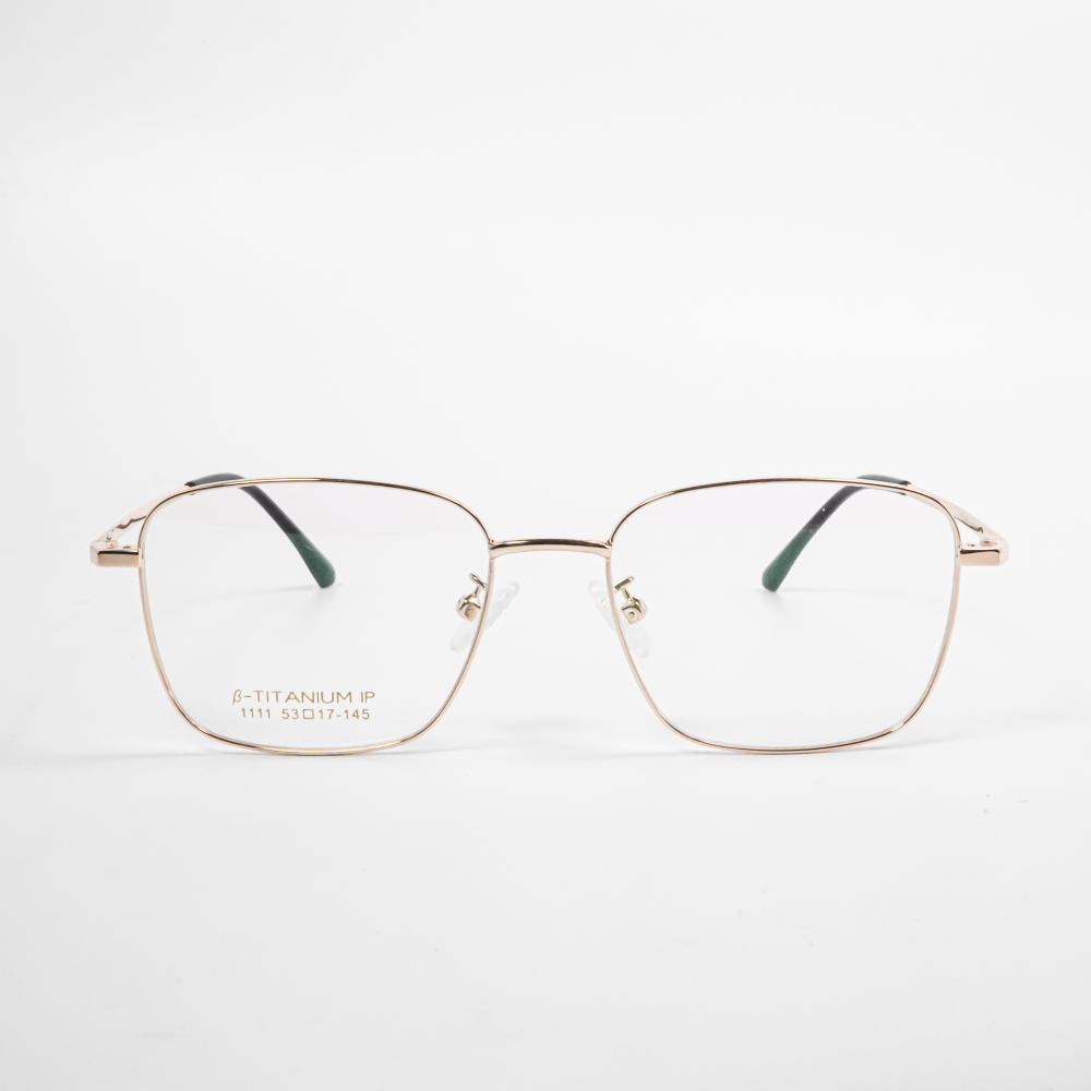 Designer Lightest Weight Gold Glass Frames