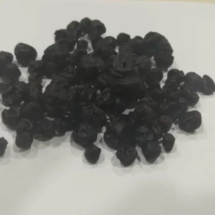 HACCP Foods Eye Protection DRIED BLUE BERRIES