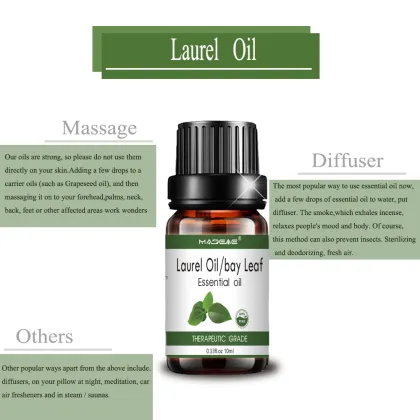 Wholesal Natural Bay Leaf Essential Oil Laurel Leaf Oil