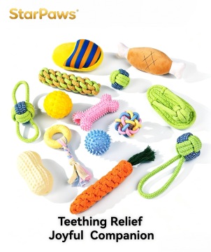 Durable Squeaky Dog Chew Toy