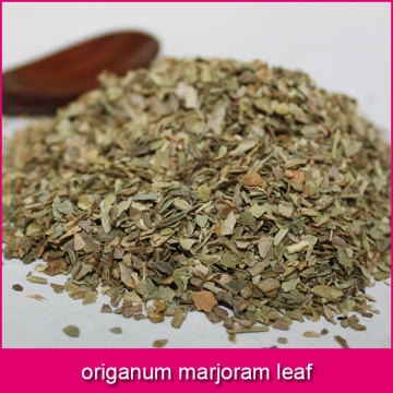 origanum marjoram leaf