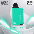 Breze Pro Fruity Aromed Hindosible Vapes