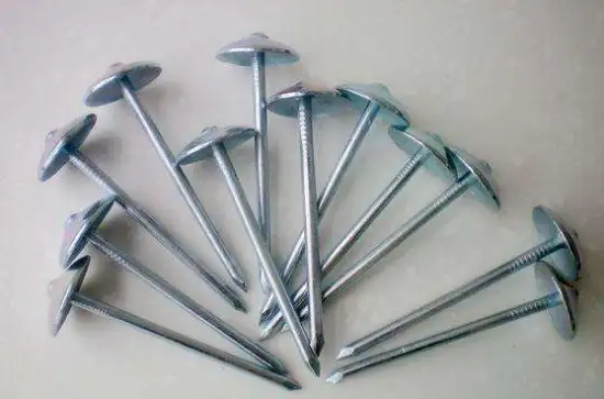 Umbrella Head Roofing Nails Factory