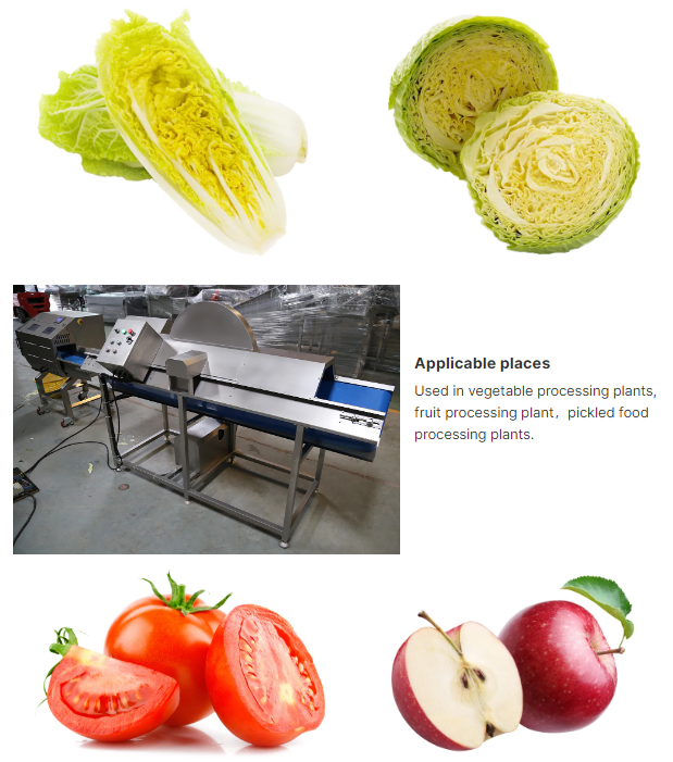 vegetable cutting machine