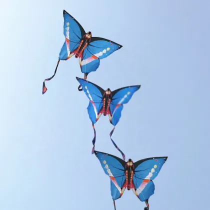 New Model Butterfly Kite: Fly High and Beautiful