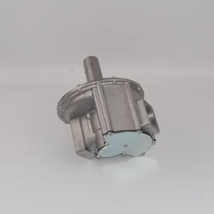 Giuliani Anello Air-Fired Proportional Valves DN50 GAVR50