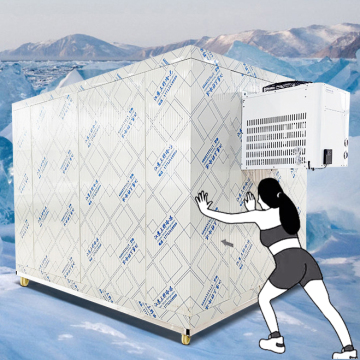 Movable Cold Storage: Kolice Portable Cold Room Condensing Unit Cooling System