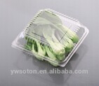 fruit packing box/food container