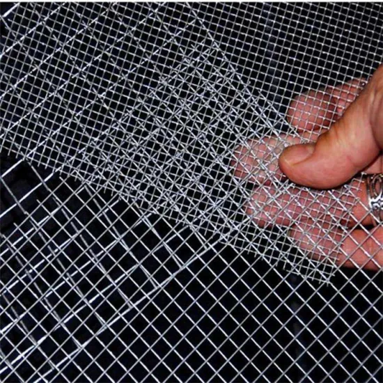 Galvanized Wire Mesh For Security Fence