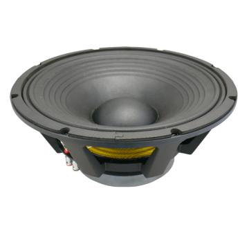 Conférencier PA professionnel de 15 pouces - SW775-15 1000W Max