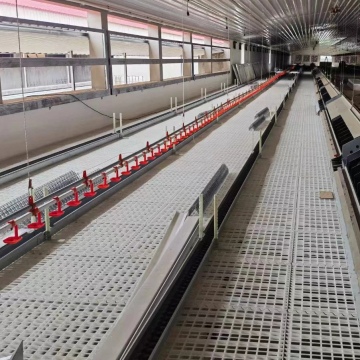 Plastic Slat Floor 1200x500x40mm for Poultry and Animal Farming