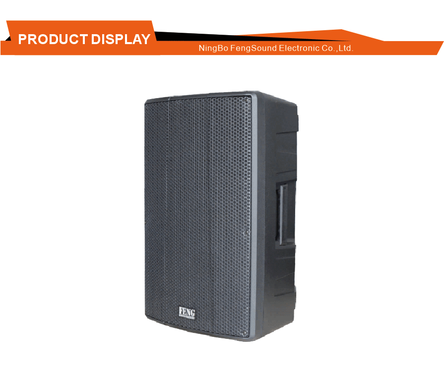Precision Tuned Stage Speaker