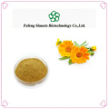Calendula Flower Extract Powder Sensitive Skin Repair