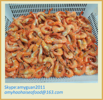 Shrimp (Head on Shell on Cooked)