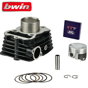 BAJAJ Platino 100 47MM Cylinder Block Kit - OEM Quality Motorcycle Parts