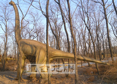Outdoor Playground Dinosaur Model----Brachiosaurrus