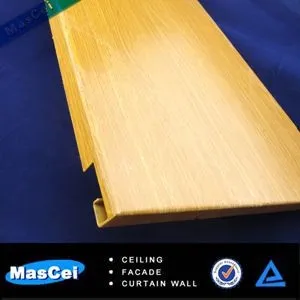 2015 Master Ceiling Design India Building Materials