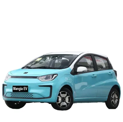 in 2023 China Will Sell New Energy Adult Electric Car Sol E10X EV Mini SUV at a Low Price