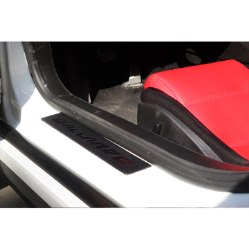 OEM Style Dry Carbon Fiber Door Sill Plate for DarwinPRO Gallardo LP570