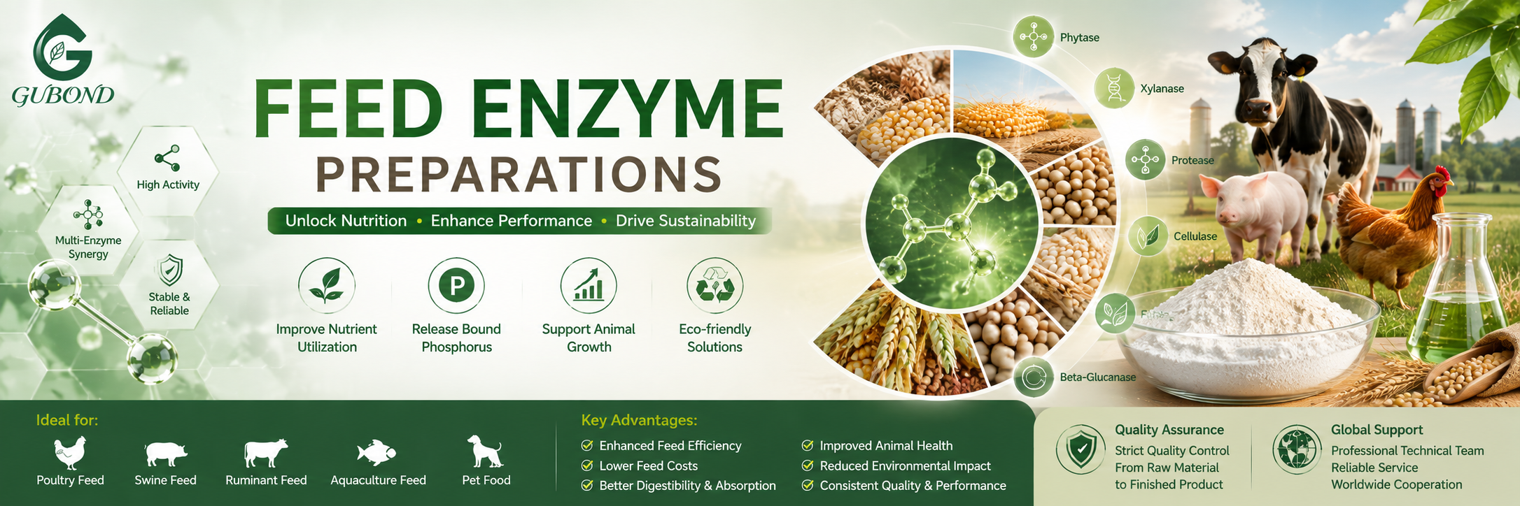 Feed enzyme preparations