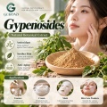 Gypenosides 20%–98% Extrato de Gynostemma pentaphyllum para formulações cosméticas e alimentícias